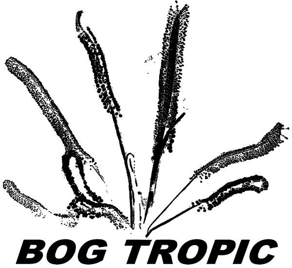 Coral Craze - Bog Tropic